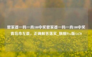 管家婆一码一肖100中奖管家婆一码一肖100中奖青岛市左晨，正确解答落实_旗舰Pro版4.670