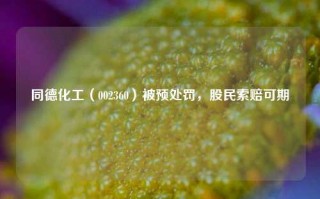 同德化工（002360）被预处罚，股民索赔可期