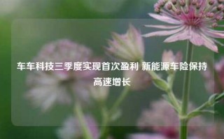 车车科技三季度实现首次盈利 新能源车险保持高速增长