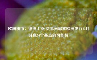 欧洲债市：德债上涨 交易员思索欧洲央行12月降息50个基点的可能性