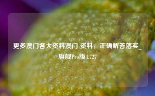 更多澳门各大资料澳门 资料，正确解答落实_旗舰Pro版4.727