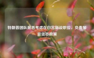 特朗普团队据悉考虑在白宫新设职位，负责加密货币政策