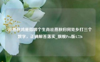 社燕秋鸿是指哪个生肖社燕秋归何处乡打三个数字，正确解答落实_旗舰Pro版4.726