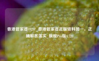 香港管家婆4923?_香港管家婆正版资料图一，正确解答落实_旗舰Pro版4.723