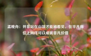 孟晚舟：并非站在山顶才能被看见，在平凡岗位上同样可以成就非凡价值