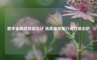 数字金融迎顶层设计 高质量发展行动方案出炉