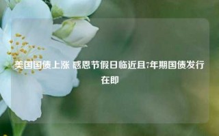 美国国债上涨 感恩节假日临近且7年期国债发行在即