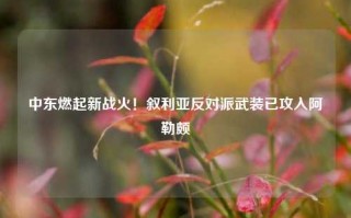 中东燃起新战火！叙利亚反对派武装已攻入阿勒颇