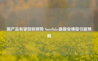 新产品有望扭转颓势 Snowflake最新业绩指引超预期