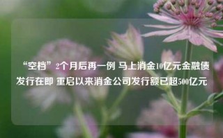 “空档”2个月后再一例 马上消金10亿元金融债发行在即 重启以来消金公司发行额已超500亿元