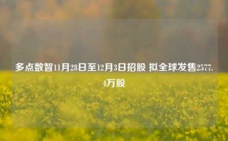 多点数智11月28日至12月3日招股 拟全球发售2577.4万股