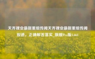 天齐锂业最新重组传闻天齐锂业最新重组传闻报道，正确解答落实_旗舰Pro版4.664