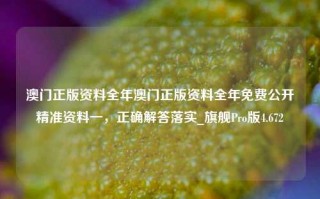 澳门正版资料全年澳门正版资料全年免费公开精准资料一，正确解答落实_旗舰Pro版4.672