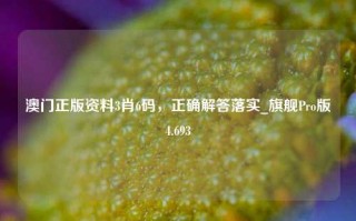 澳门正版资料3肖6码，正确解答落实_旗舰Pro版4.693