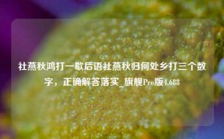 社燕秋鸿打一歇后语社燕秋归何处乡打三个数字，正确解答落实_旗舰Pro版4.688