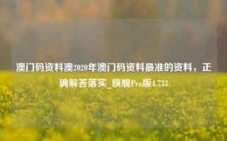 澳门码资料澳2020年澳门码资料最准的资料，正确解答落实_旗舰Pro版4.733