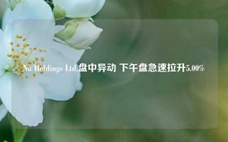 Nu Holdings Ltd.盘中异动 下午盘急速拉升5.00%