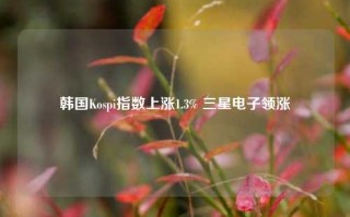 韩国Kospi指数上涨1.3% 三星电子领涨