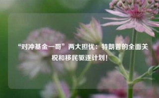 “对冲基金一哥”两大担忧：特朗普的全面关税和移民驱逐计划！