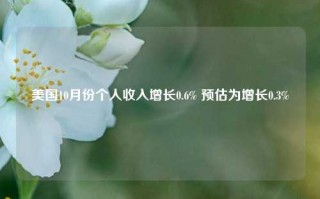 美国10月份个人收入增长0.6% 预估为增长0.3%