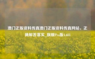 澳门正版资料传真澳门正版资料传真网站，正确解答落实_旗舰Pro版4.683