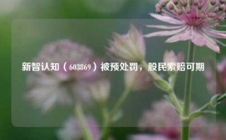 新智认知（603869）被预处罚，股民索赔可期