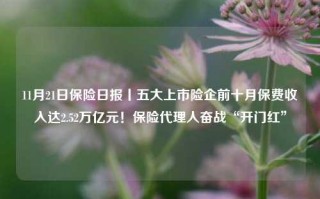 11月21日保险日报丨五大上市险企前十月保费收入达2.52万亿元！保险代理人奋战“开门红”