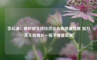 李云泽：要积极支持经济社会高质量发展 加力落实稳增长一揽子增量政策