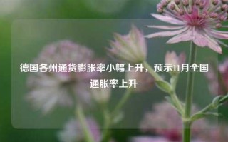 德国各州通货膨胀率小幅上升，预示11月全国通胀率上升