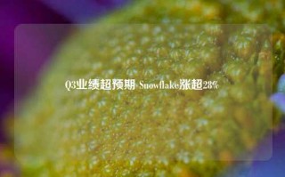 Q3业绩超预期 Snowflake涨超28%