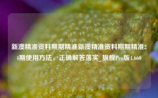 新澳精准资料期期精准新澳精准资料期期精准24期使用方法，正确解答落实_旗舰Pro版4.660