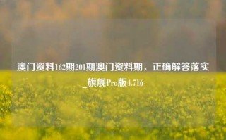 澳门资料162期201期澳门资料期，正确解答落实_旗舰Pro版4.716