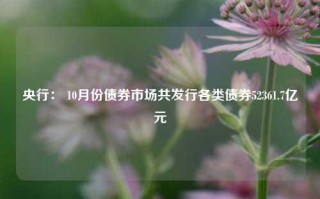 央行： 10月份债券市场共发行各类债券52361.7亿元