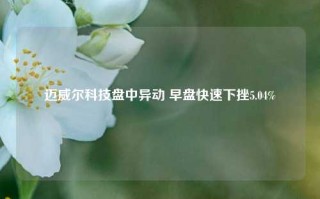 迈威尔科技盘中异动 早盘快速下挫5.04%