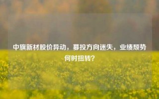 中旗新材股价异动，募投方向迷失，业绩颓势何时扭转？