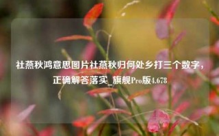 社燕秋鸿意思图片社燕秋归何处乡打三个数字，正确解答落实_旗舰Pro版4.678