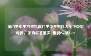 澳门王中王的资料澳门王中王资料大全正版家电网，正确解答落实_旗舰Pro版4.652