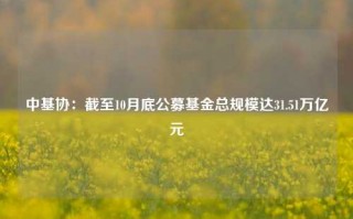 中基协：截至10月底公募基金总规模达31.51万亿元