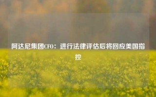 阿达尼集团CFO：进行法律评估后将回应美国指控