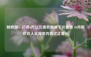 财政部：已将6万亿元债务限额下达各地 10月税收收入实现年内首次正增长