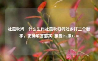 社燕秋鸿昰什么生肖社燕秋归何处乡打三个数字，正确解答落实_旗舰Pro版4.710