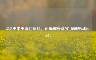 5555王中王澳门资料，正确解答落实_旗舰Pro版4.674