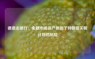 德意志银行：金融市场资产低估了特朗普关税计划的风险