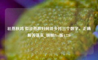 社燕秋鸿 似社燕秋归何处乡打三个数字，正确解答落实_旗舰Pro版4.720