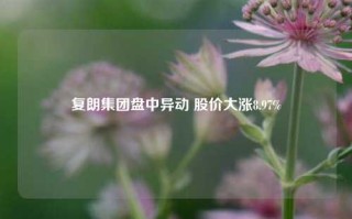 复朗集团盘中异动 股价大涨8.97%