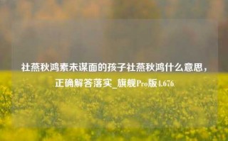 社燕秋鸿素未谋面的孩子社燕秋鸿什么意思，正确解答落实_旗舰Pro版4.676