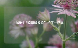 山姆对“消费降级论”抡了一巴掌