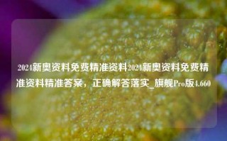 2024新奥资料免费精准资料2024新奥资料免费精准资料精准答案，正确解答落实_旗舰Pro版4.660