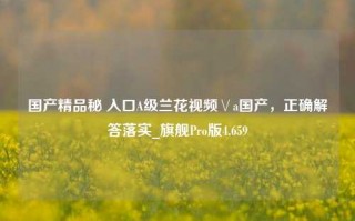 国产精品秘 入口A级兰花视频∨a国产，正确解答落实_旗舰Pro版4.659