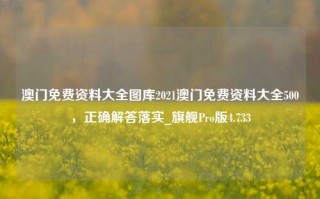 澳门免费资料大全图库2021澳门免费资料大全500，正确解答落实_旗舰Pro版4.733